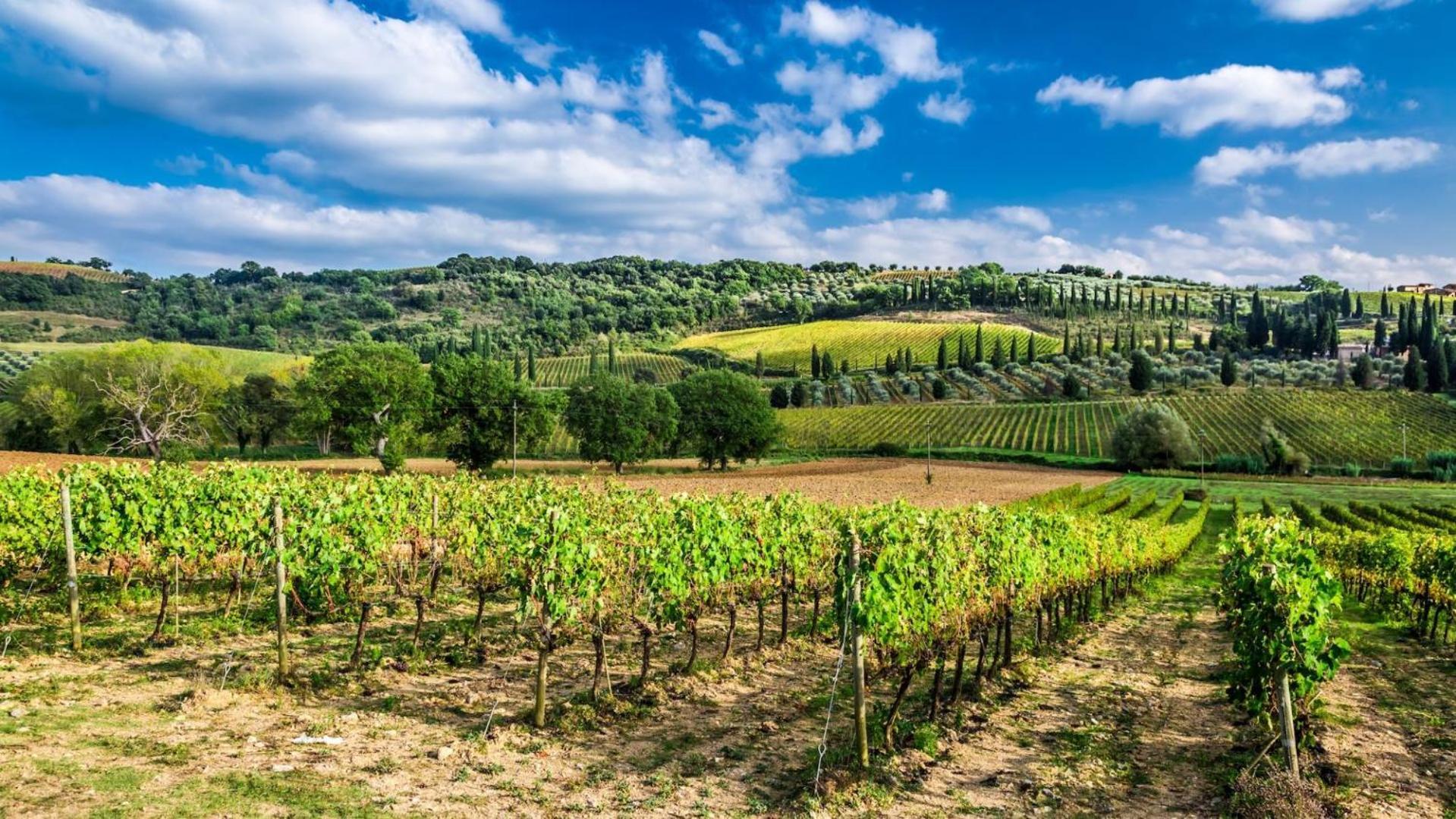 Terre Gialle - La Val D'Orcia Nascosta Castel del Piano  Exteriör bild