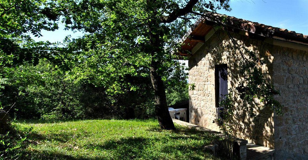Terre Gialle - La Val D'Orcia Nascosta Castel del Piano  Exteriör bild