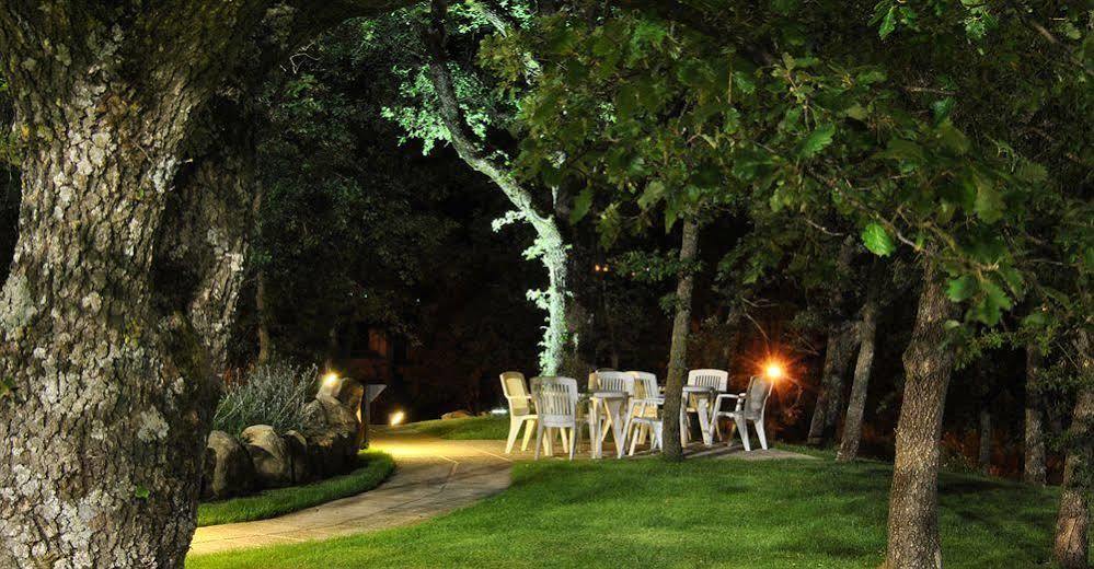 Terre Gialle - La Val D'Orcia Nascosta Castel del Piano  Exteriör bild
